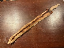 Vintage (vermutl.) Marderpelz