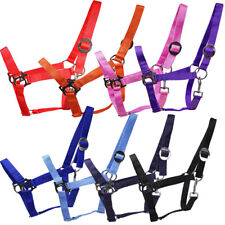 L- Sport Halfter Nylon mit Schiebeschnalle