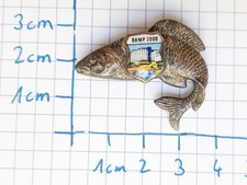 Souvenir Anstecknadel Damp