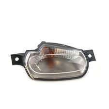 smart Blinker rechts vorne