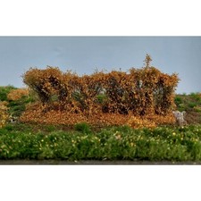 Hecke klein Spätherbst ca