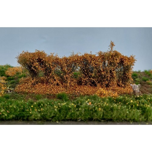 Hecke klein spätherbst - klein, ca
