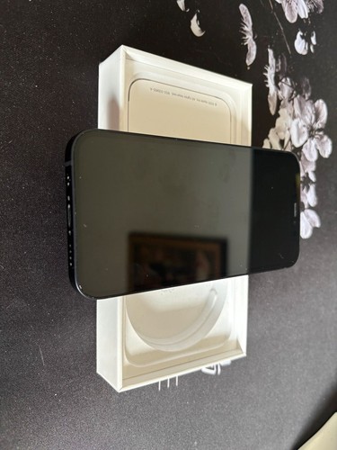 Iphone mini - 12,
