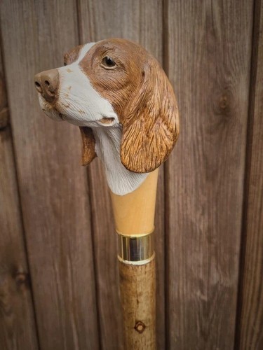 Springer hund design - hund,