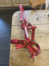 Monty Roberts doppeltes