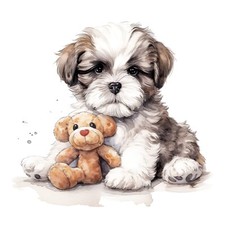Shih Tzu Auto Aufkleber 9X9 cm