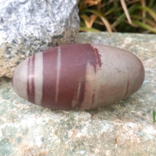 Shiva lingam narmada fluss - narmada,
