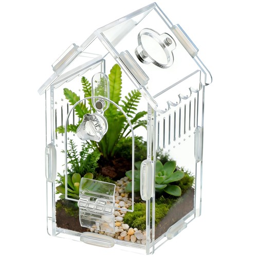 House shaped acrylic insect - acrylic,