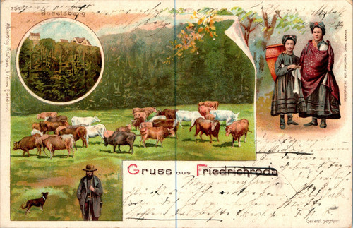 Litho gruss aus friedrichroda - litho,
