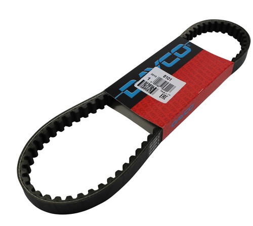Keilriemen dayco 811 x - keilriemen, (811