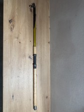 Shimano Beastmaster Tele 8000-270 Rute 270cm 50-100g