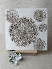 Das Geheimnissvolle Universum