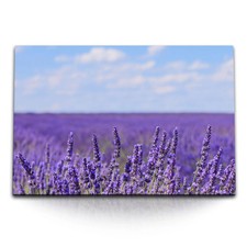 120x80cm Wandbild auf Leinwand