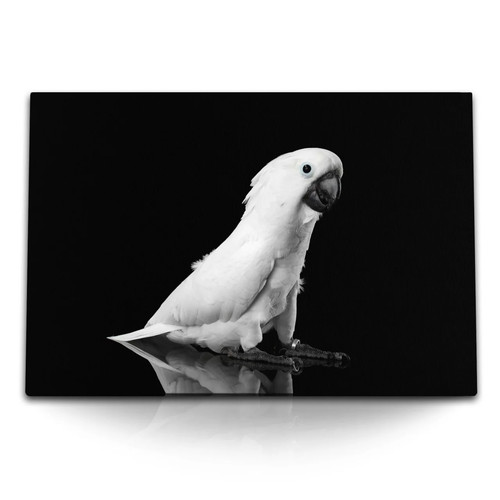 120x80cm wandbild auf leinwand - auf,