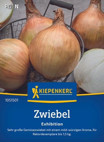 Zwiebelsamen exhibition - zwiebelsamen,