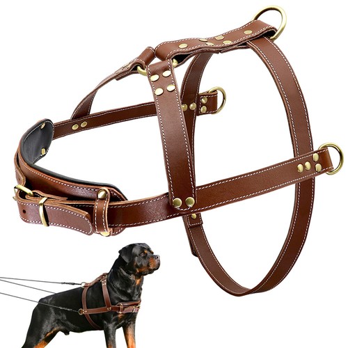 Leder hundegeschirr - leder,