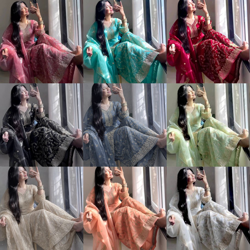 Anarkali abendkleid pakistaner - anarkali,