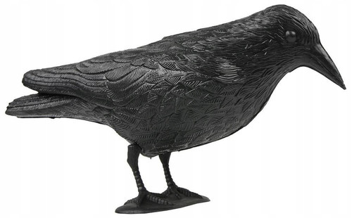 Vogelschreck rabe - vogelschreck,