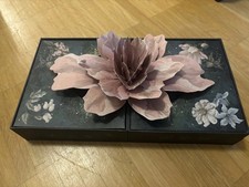 Tomorrowland 2024 Life Treasure Case