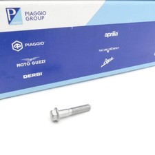 Schraube mit Flansch M6x30