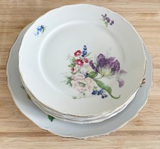 5 Tirschenreuth Geschirr Porzellan Kuchen Teller + 1 Servierteller mit Blumen