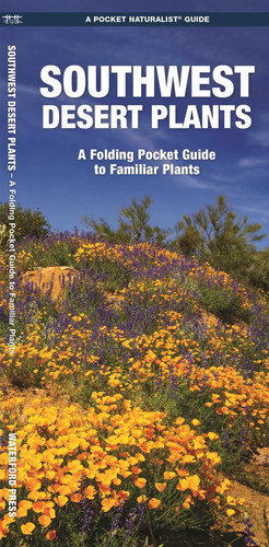 Southwest desert plants - southwest, a