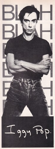 Iggy pop blah - iggy,