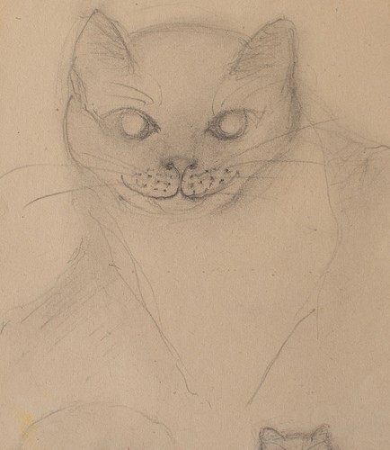 Katze tierstudie studie - katze,