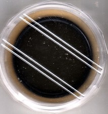 49mm Polfilter  linear