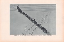 Schlitten mit Grönland Huskies - 1930 - Husky Hunde Schlittenhunde ~16x24cm