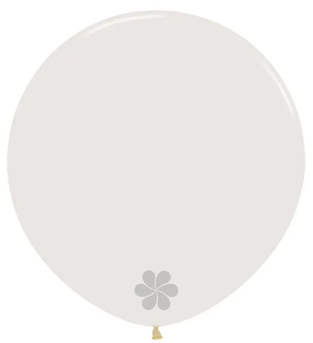 Sempertex 36 - 1, x