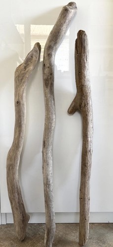 Treibholz 3x - treibholz, /3x