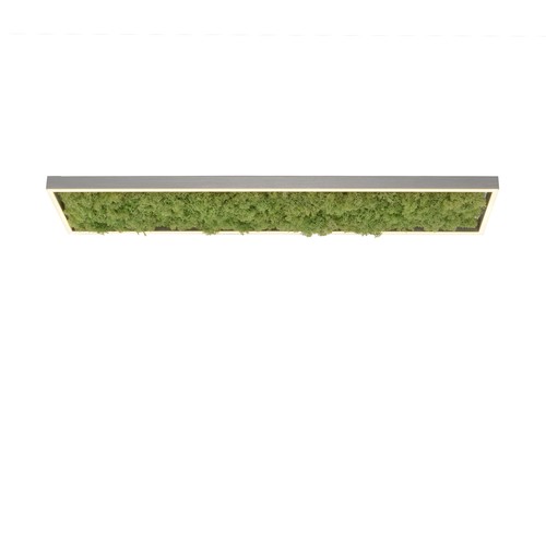 Led deckenleuchte islandmoos - led,