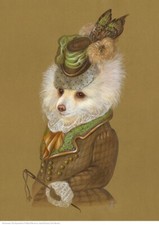 Pomeranian The Equestrienne A3