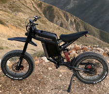 Offroad 20 Zoll Fat Tire