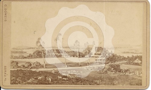Altes cdv foto - keine, postkarte