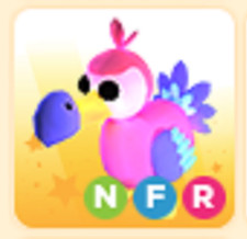 NFR Dodo - Cheap & Trusted