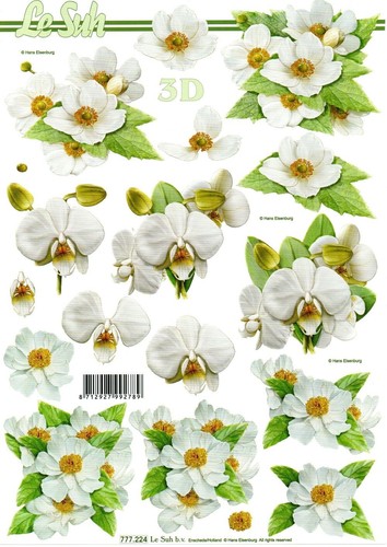 Bogen weiße blumen - ✂, 3d-bogen