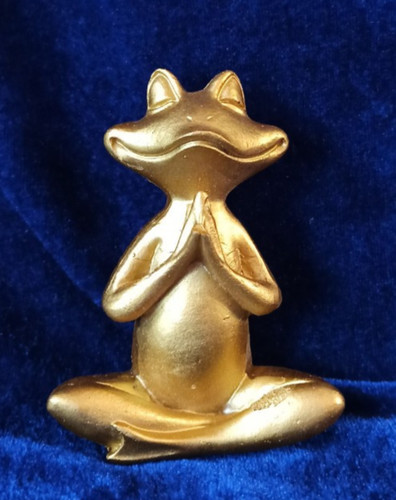Yoga frosch meditation - ,