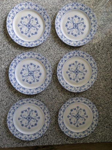 Kaiser indigo strohblume - ak,