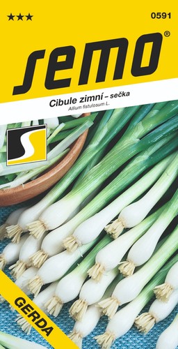 Winterzwiebel gerda samen - gerda,