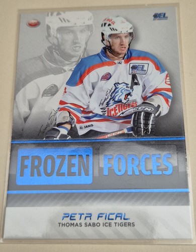 Del frozen forces petr - forces,