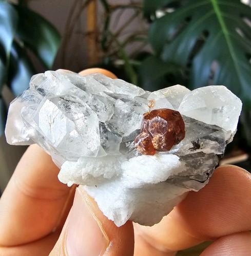 Spessartin granat auf quarz - granat,