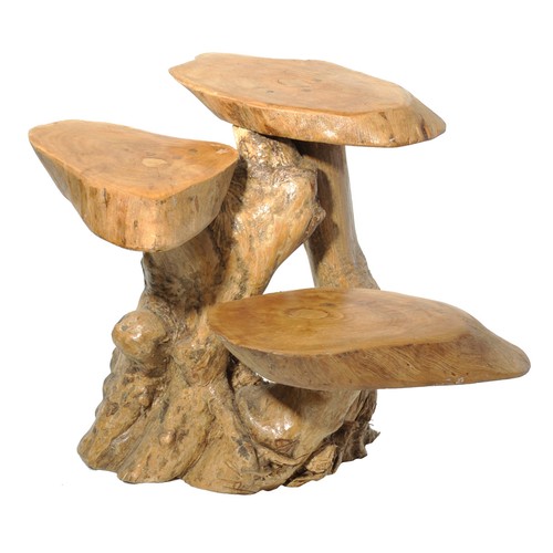 Teak wurzelholz - teak,