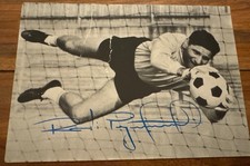 Petar radi radenkovic - petar,