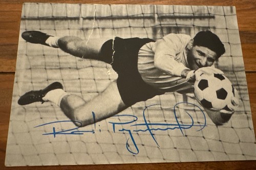 Petar radi radenkovic - radi,