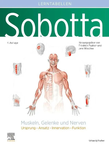 Sobotta lerntabellen anatomie - lerntabellen,
