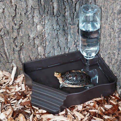 Schildkröten-Wassernapf