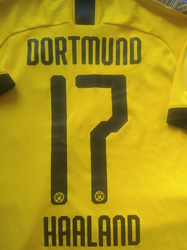 Bvb borussia dortmund - borussia,
