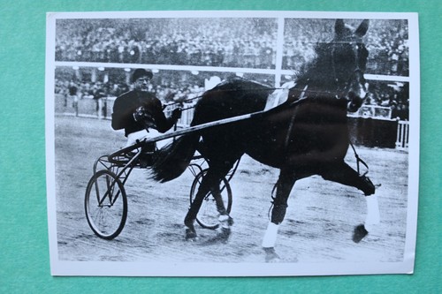 Epm foto pferderennen 1952 - foto,